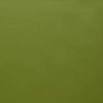 Passionate Soul Hoops